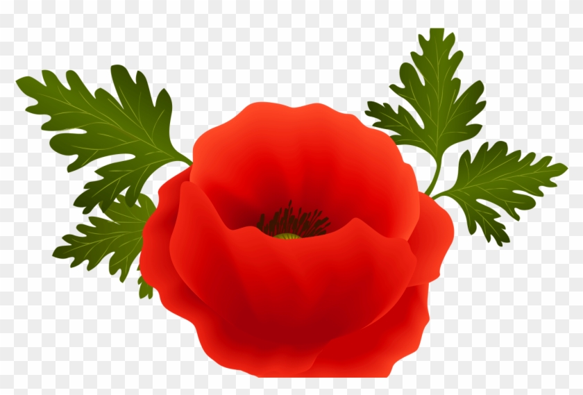 Poppy Png Clip Art Image Gallery Yopriceville High - Poppy Clipart #897907