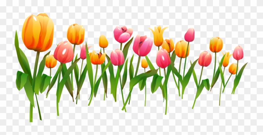Multicolor Tulips - Frame Spring #898347