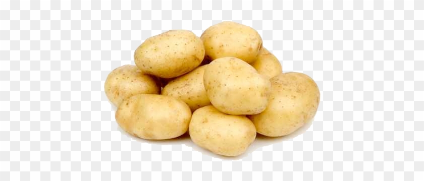 Potato - Potato .png #898742