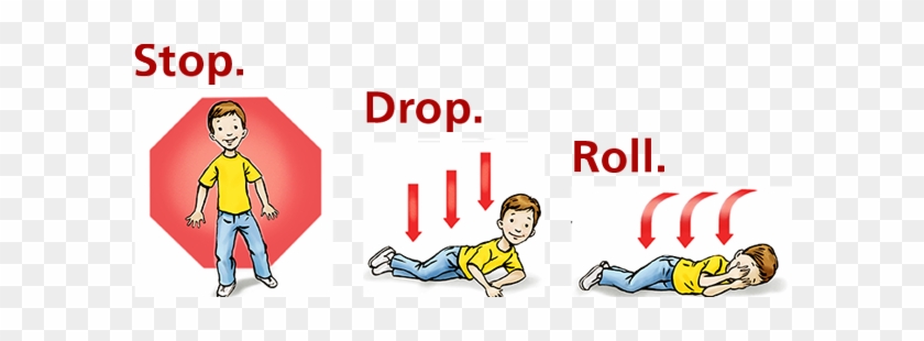 Please - Stop Drop And Roll #898916