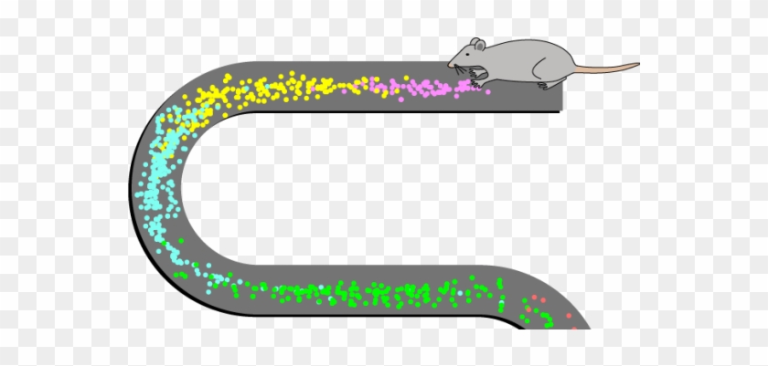 #plos #sfn15 Recap - Place Cell #899162