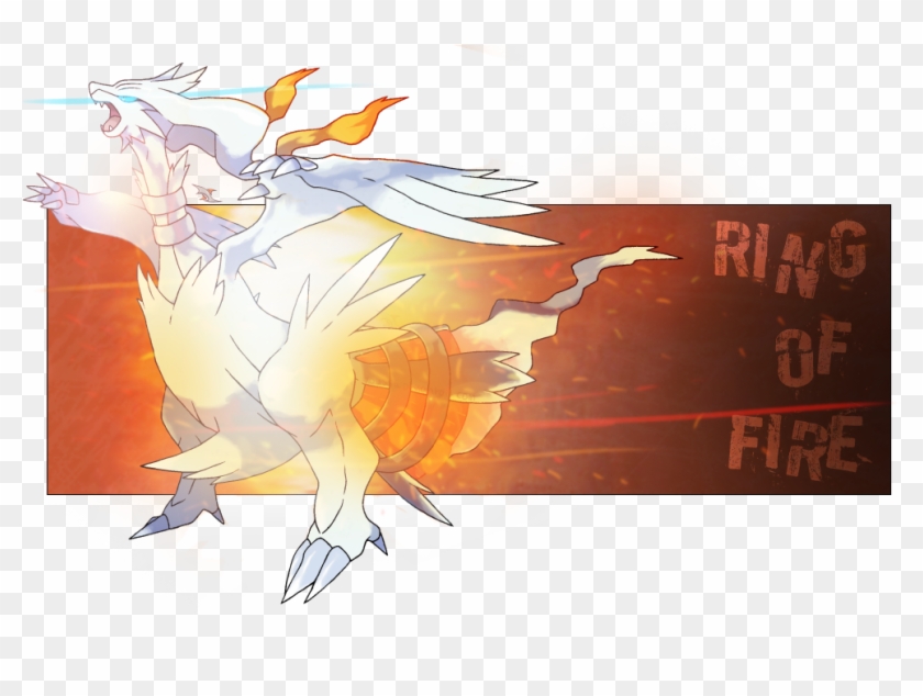 Our Spirit Burns Intensively When We Battle We Play - Reshiram E Zekrom #899248