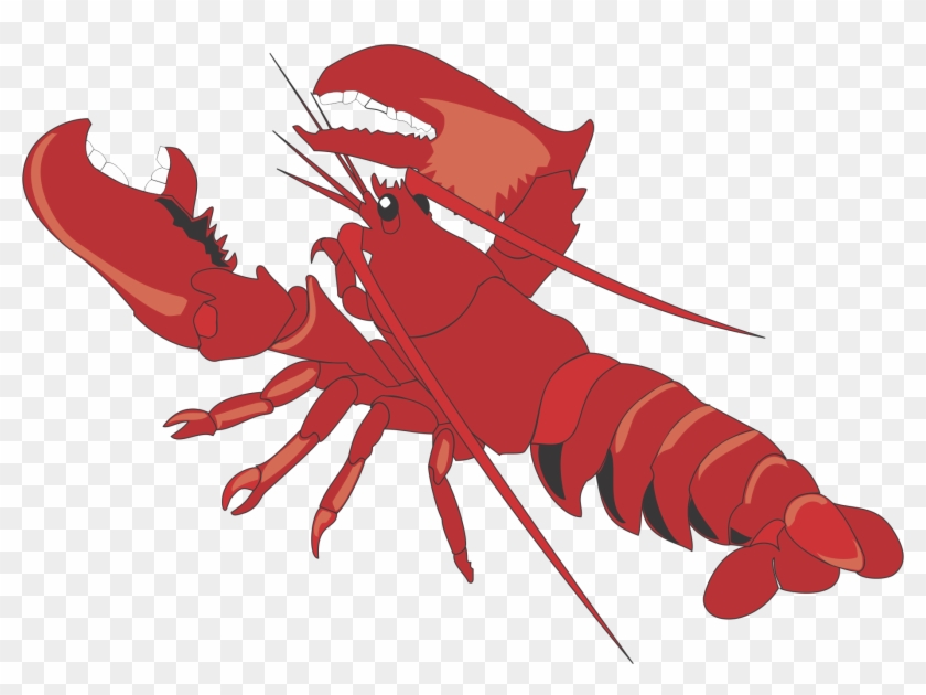 Lobster Cartoon Clip Art - Lobster Clipart #899284