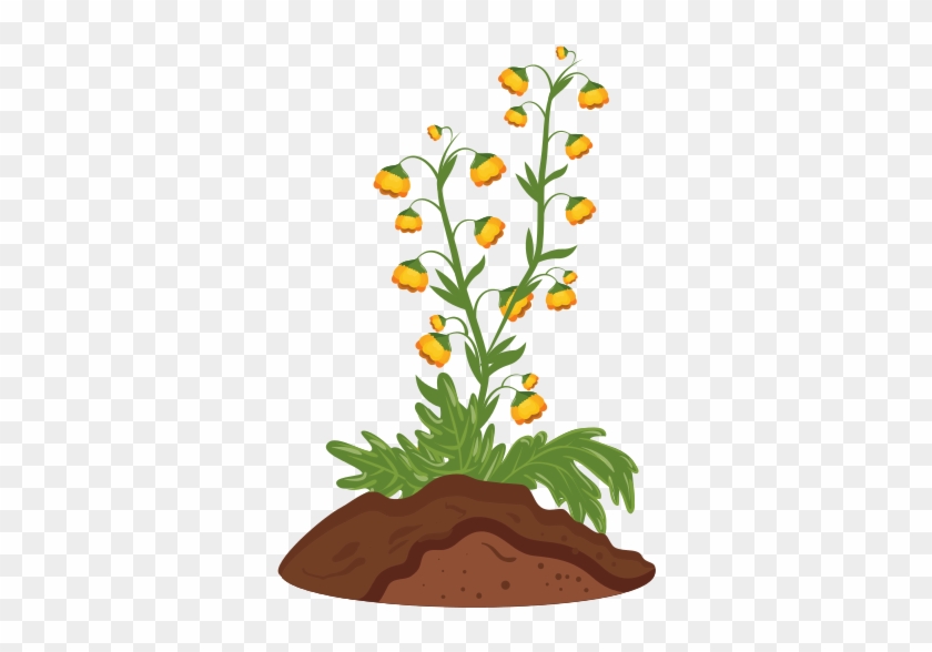 Set Different Vegetables Plant Showing Root Stock Vector - Icon #899427