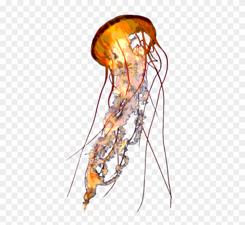 Pin Microphone Clip Art Transparent Background - Png Jelly Fish #900447