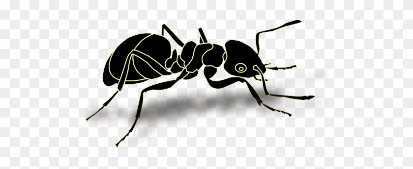 Ants Clipart Transparent Background - Ant Png Transparent #900492