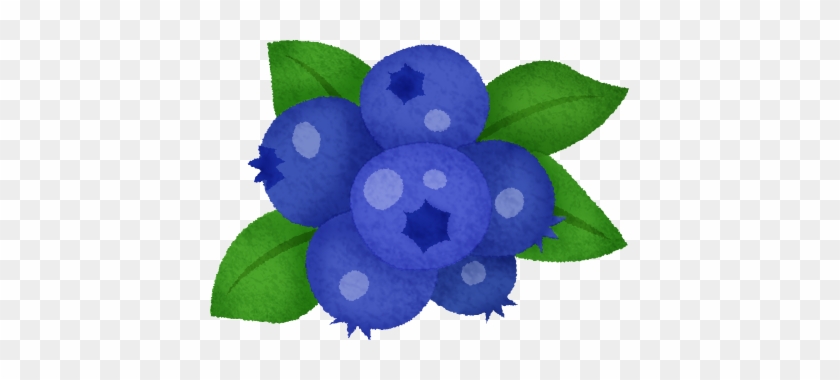 Blueberry - Bilberry #900974