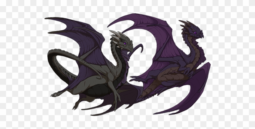 Nocturnes Look Slick And Are A Favorite Breed On Flight - Nocturne Dragon Flight Rising #901330