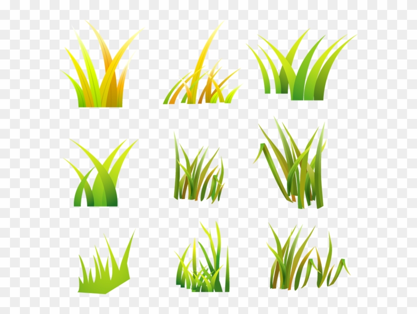 Grass Vector #901387