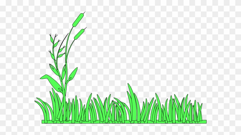 Grass Border Clip Art #901415