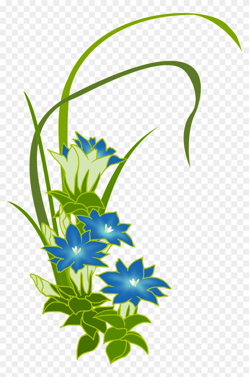 Gentian Wild Grass Blue Flowers Png Image - Alpenblumen Png #901427