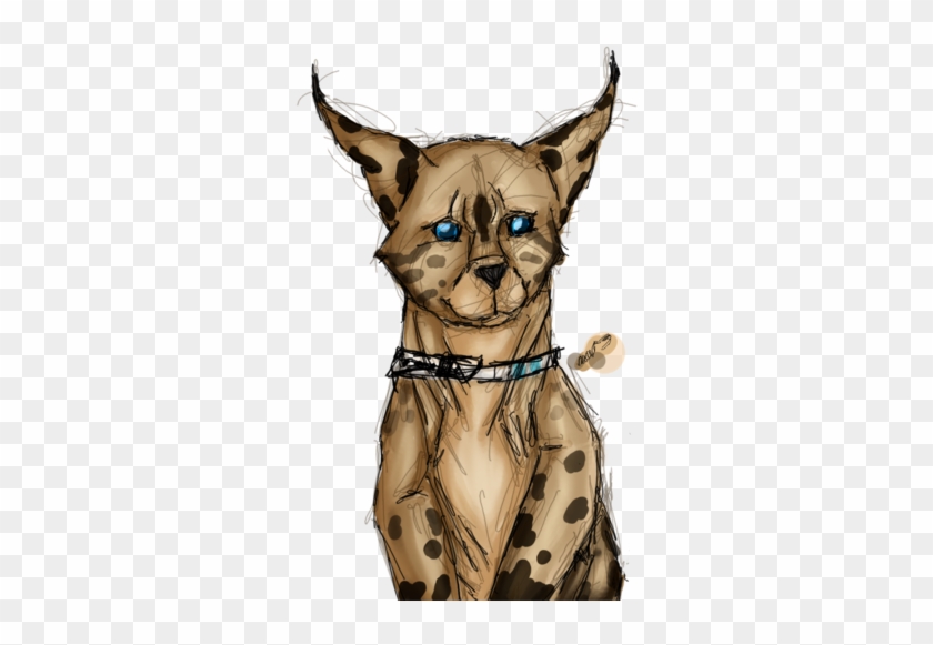 Caracal/serval Skylar {sketch Art Trade} By Wanderingsketch - Companion Dog #901498
