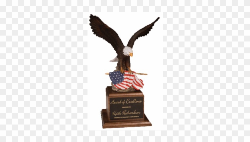 Veteran's Day Thank You Gifts - 17" Painted Eagle Award W/ Flag On Walnut Base Quantity(1) #901506