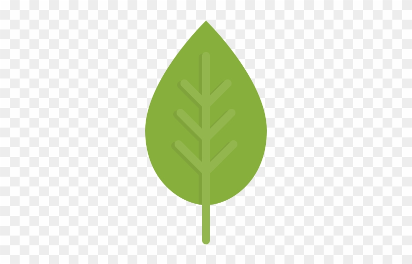 Tree Icon - Leaf Icon #901522
