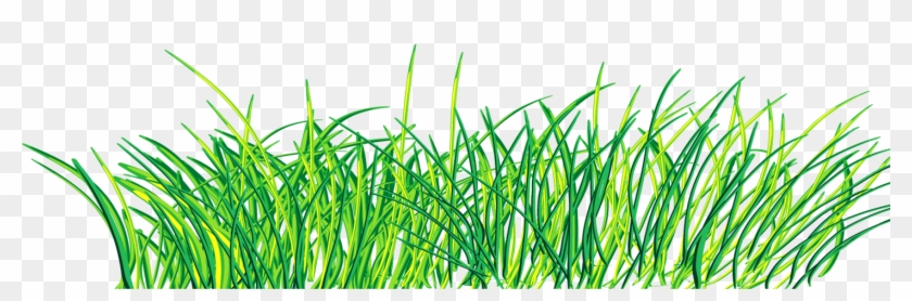 Green Clip Art - Green Grass Png Pinting #901525