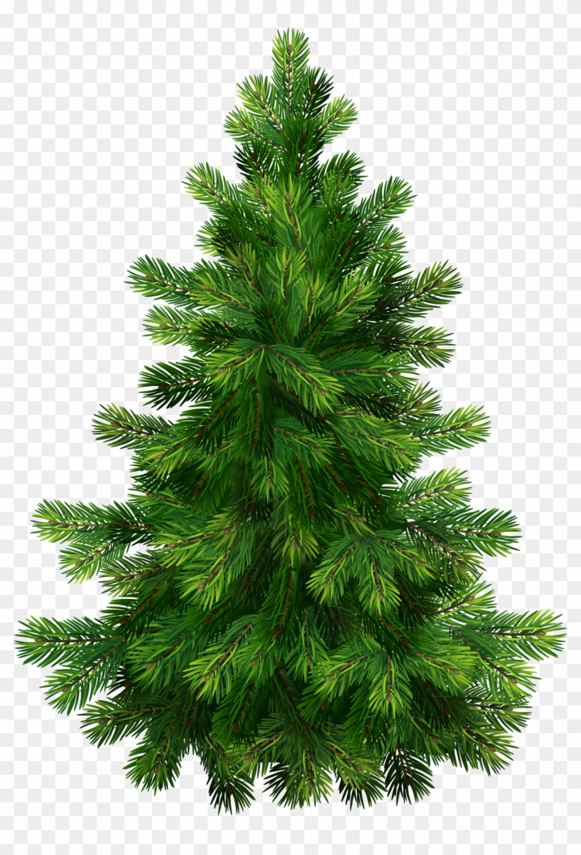 Christmas Tree Free Png Image - Natal Dan Tahun Baru #901815