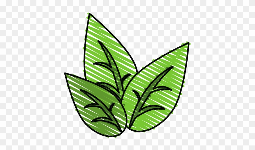 Leaves Of A Plant Vector Icon Illustration - Vector Marketing #901853
