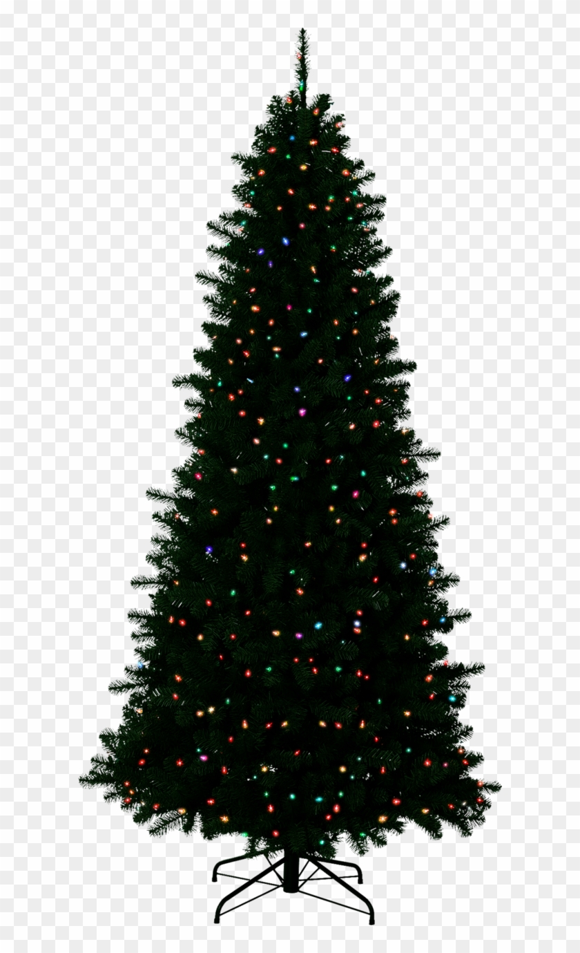 Christmas Outside Transparent Background - Christmas Tree With No Decorations #901888