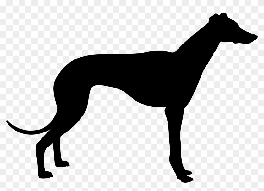 Big Image - Greyhound Silhouette #902220