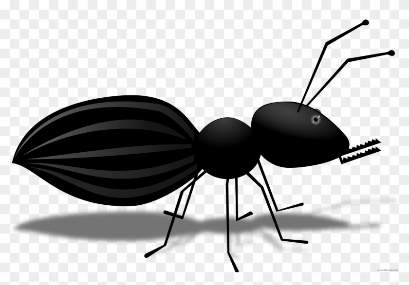 Ant Cartoon Animal Free Black White Clipart Images - Cartoon #902367