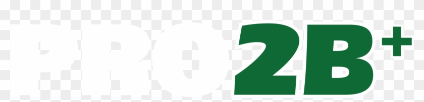 Pro 2b - Pro 2b #902540