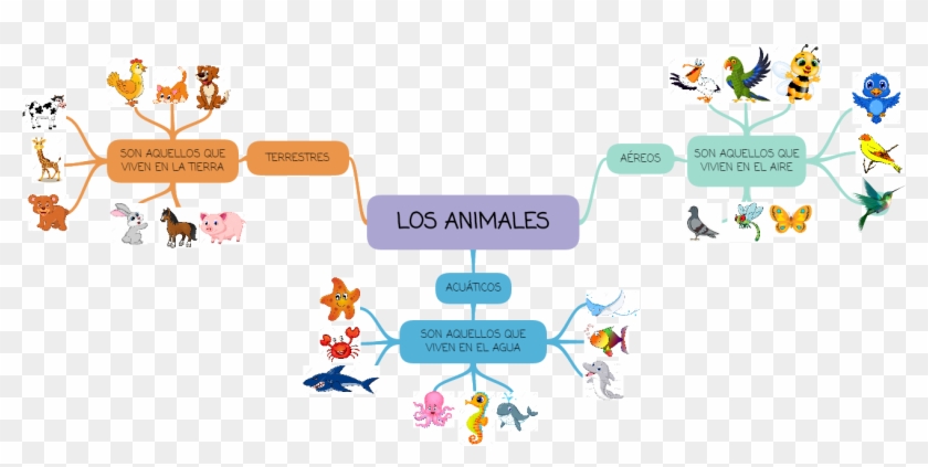 Los Animales Acuaticos Son Aquellos Que Viven En El Animales