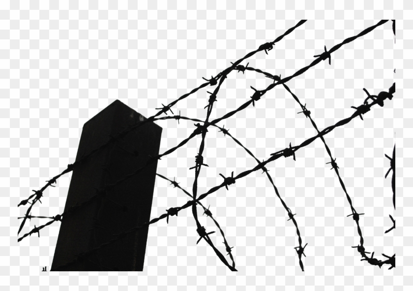 Download Barbwire Png Clipart - Barbed Wire Silhouette Png #902744