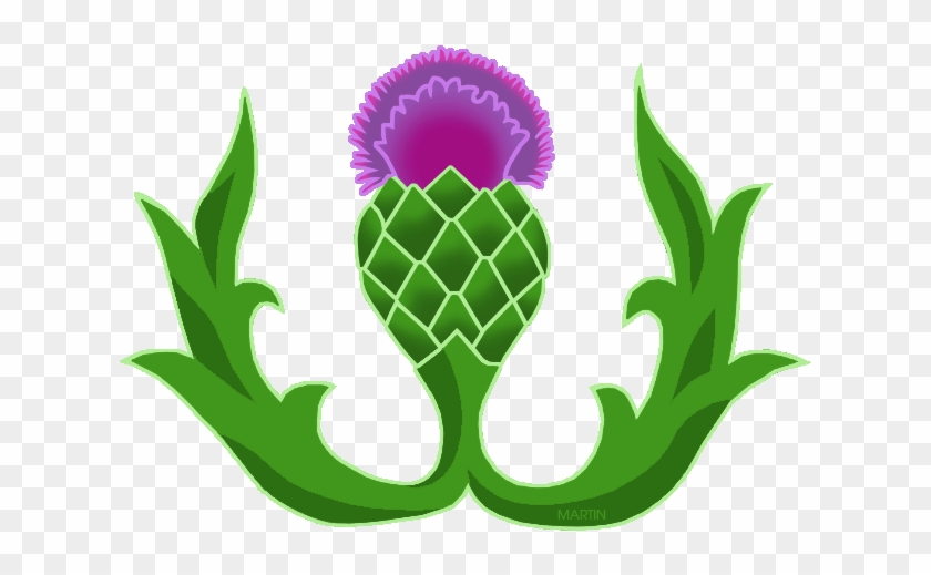 Thistle Clipart - Thistle Clip Art Transparent #902857