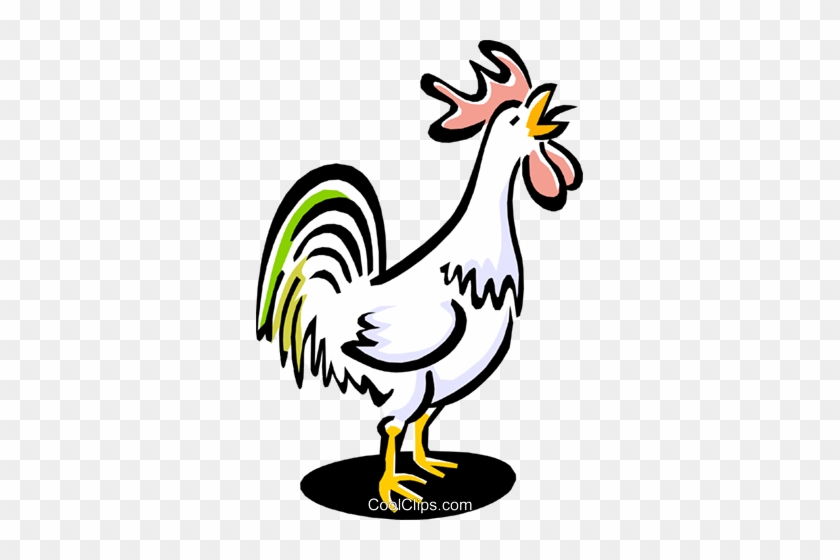 Rooster Royalty Free Vector Clip Art Illustration Anim1553 - Free Clipart Rooster  Crowing - Free Transparent PNG Clipart Images Download