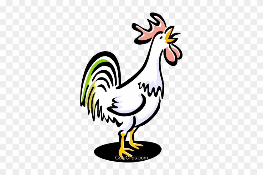 Rooster Royalty Free Vector Clip Art Illustration Anim1553 - Free Clipart Rooster Crowing - Free Transparent PNG Clipart Images Download Rooster Royalty Free Vector Clip Art Illustration Anim1553 - Free Clipart Rooster Crowing - Free Transparent PNG Clipart Images Download
