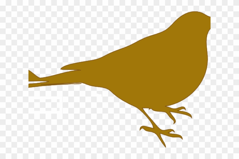 Finch Clipart Gold Bird - Circle With Line Through #903036