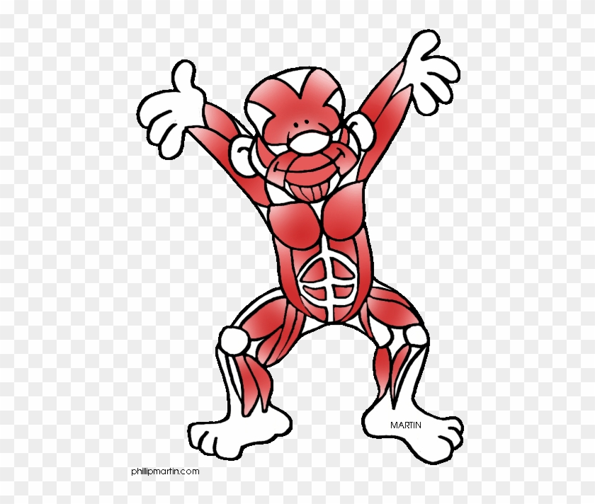Vector Cartoon Clip Art Illustration Of An Angry Muscular - Muscular System Clipart #903075