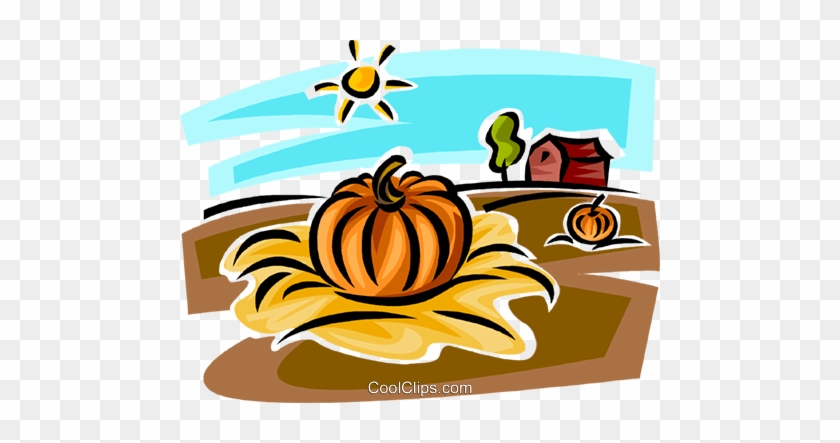 Pumpkin In Farmers Field Royalty Free Vector Clip Art - Pumpkin Patch Cartoon #903114