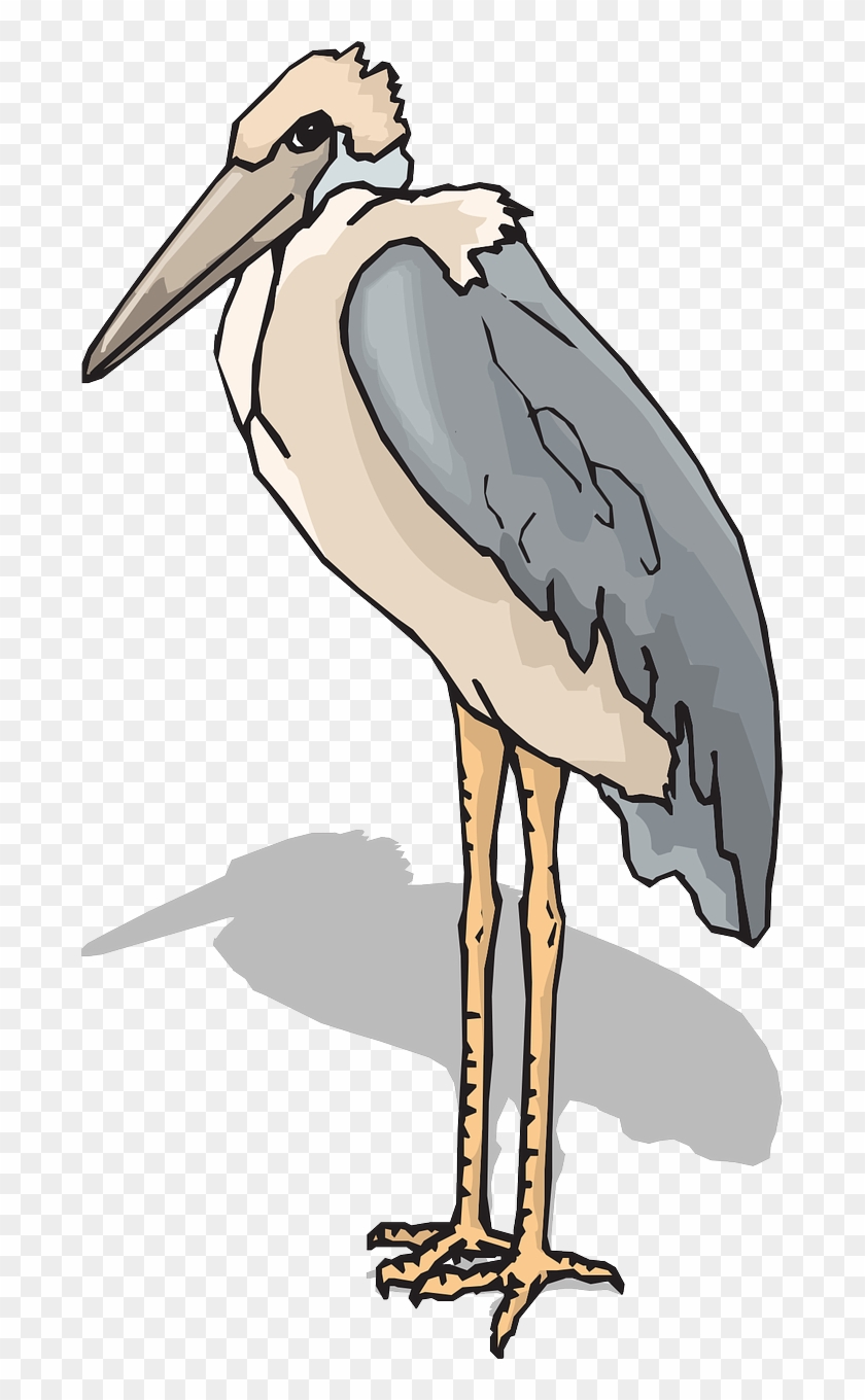 Bird Wings Leg Standing Stork Png Image - Draw A Marabou Stork #903214