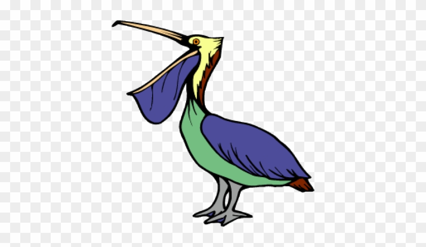 The Brown Pelican Became Louisiana's Official Bird - Louisiana #903308