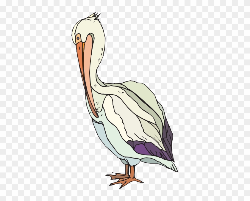 Bird - Clip Art #903315