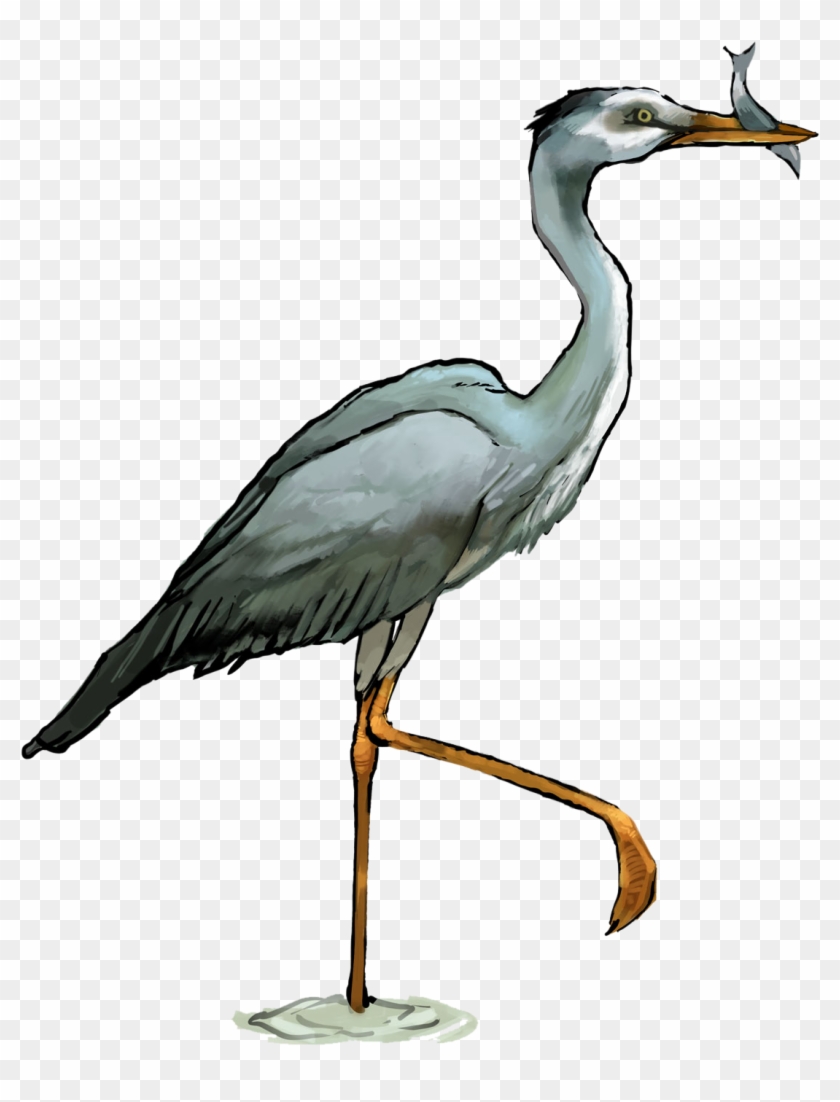 Heron Clipart Crane Bird - Heron Clipart #903320
