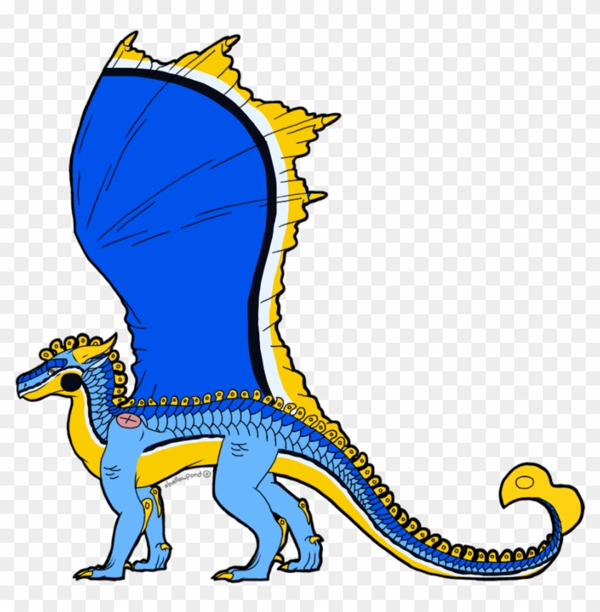 Seaslug By Shallowpond - Seaslug By Shallowpond #903330