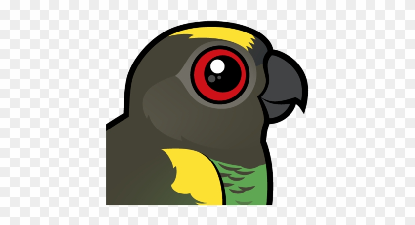 Parrot Clipart Small Parrot - Zazzle Meyer's Parrot Key Ring #903347
