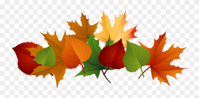 Fall Leaves Clip Art #903418