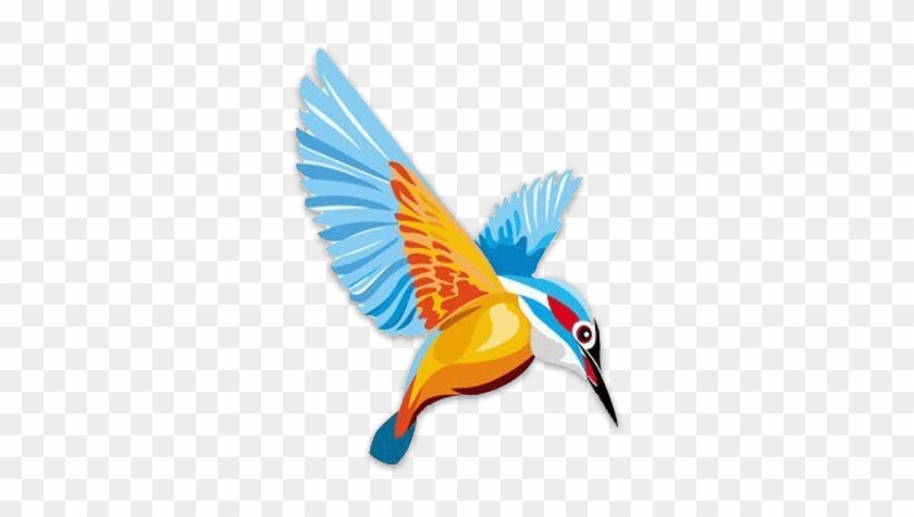 Address - King Fisher Bird Logo #903437