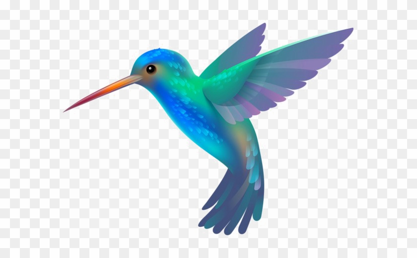 Kingfisher Bird Png Image - Hummingbird Png #903457