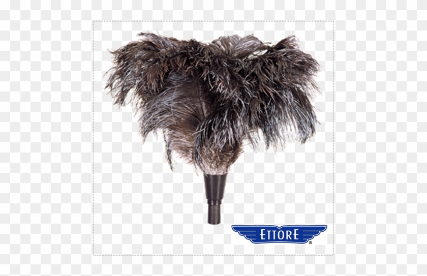 Ettore Ostrich Feather Duster - Ettore Ostrich Feather Duster #903464