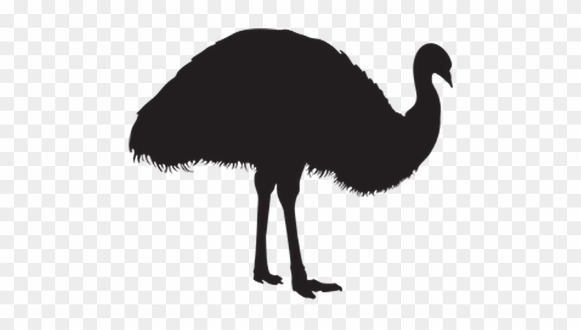 Emu Clipart Silhouette - Silhouette Of A Emu #903469