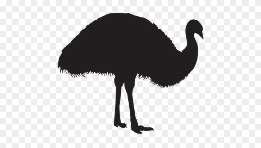 199-1992963_emu-clipart-silhouette-silho