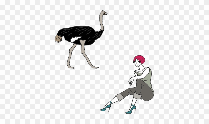 Ostrich - Common Ostrich #903471