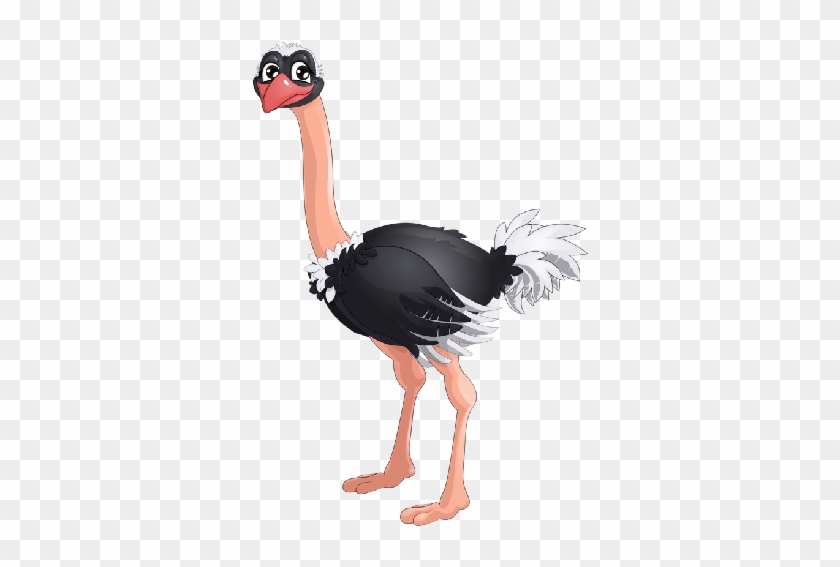 Ostrich Clipart - Ostrich Clipart #903474