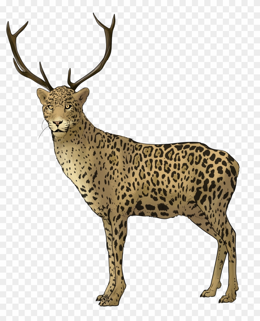 Reindeer #903494