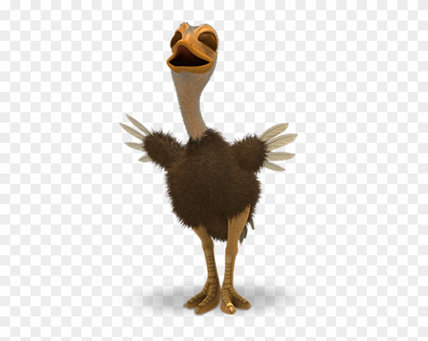 Baby Ostrich - Turkey #903493