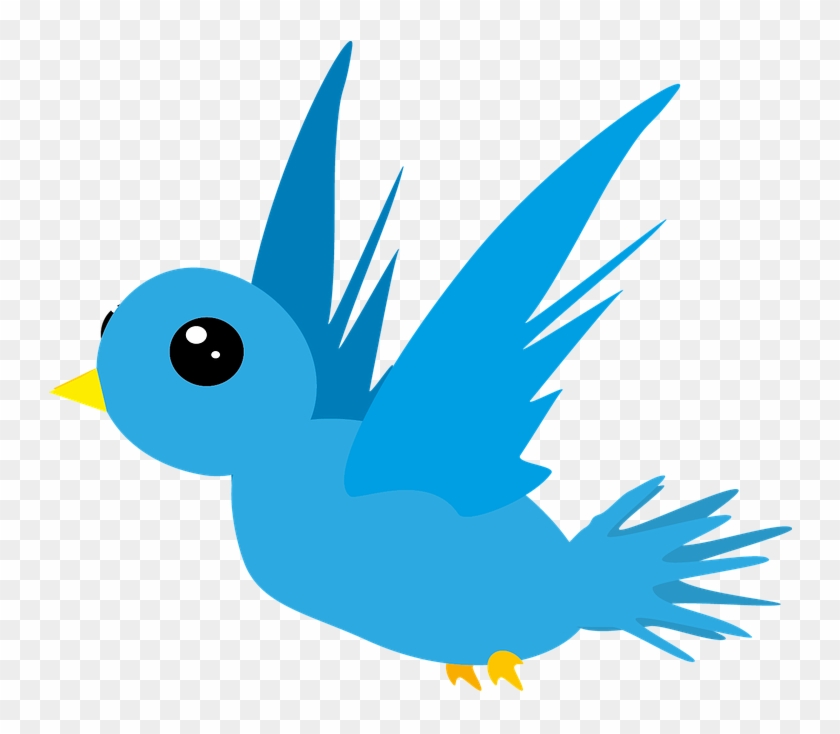 Jay Clipart Small Bird - Bird Clipart #903500